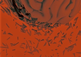 Noel-Hunter-Trauma-Madness-Mental-Health